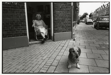 108010 Afbeelding van mevrouw R. Bouman-van Hees in de deuropening van haar huis Graanstraat 1 te Utrecht, op de hoek ...